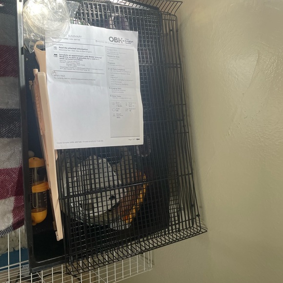 Cage - Picture 1 of 2